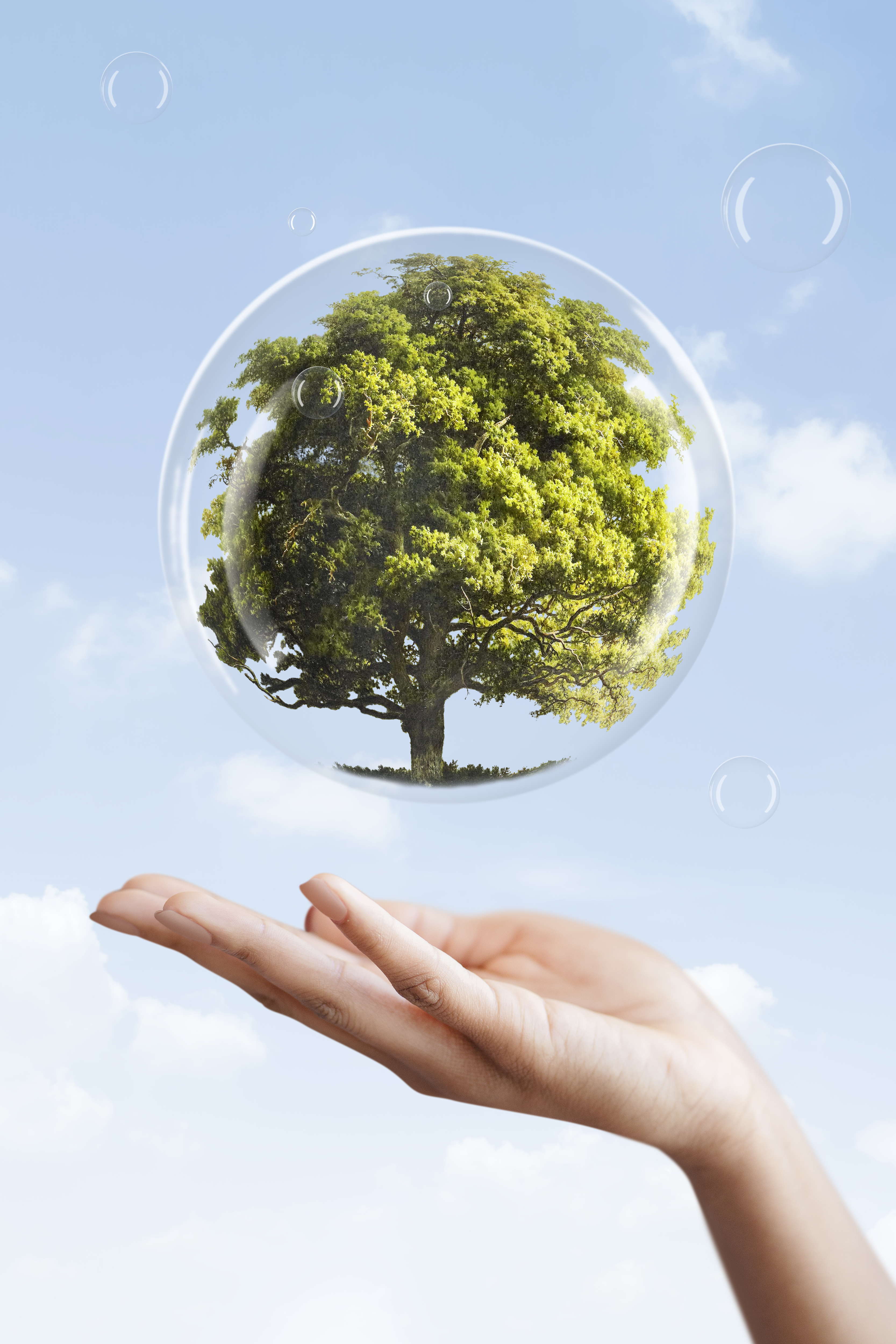 Protect Our Environment
